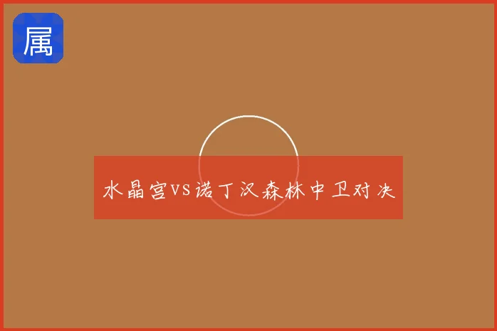 水晶宫vs诺丁汉森林中卫对决