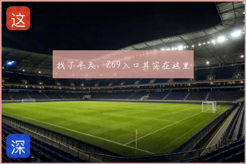 找了半天，Z69入口其实在这里